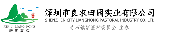����QQ����